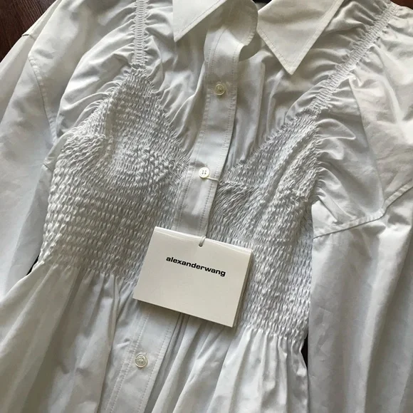 NWT Alexander Wang Long Sleeve Smocked Cami Oversize Poplin Cotton Shirt Dress S - Picture 12 of 15